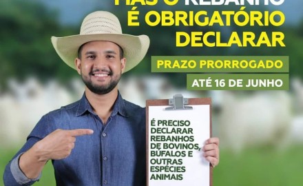 DECLARAÇÃO DE REBANHO